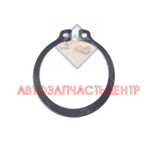 Стопорное кольцо CARRARO 24789, 3523098M1, 83957806, VOE11709300, CA0024789