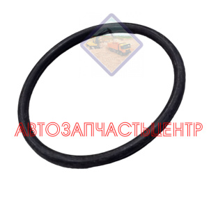Кольцо уплотнительное шкворня HOWO 1880410052